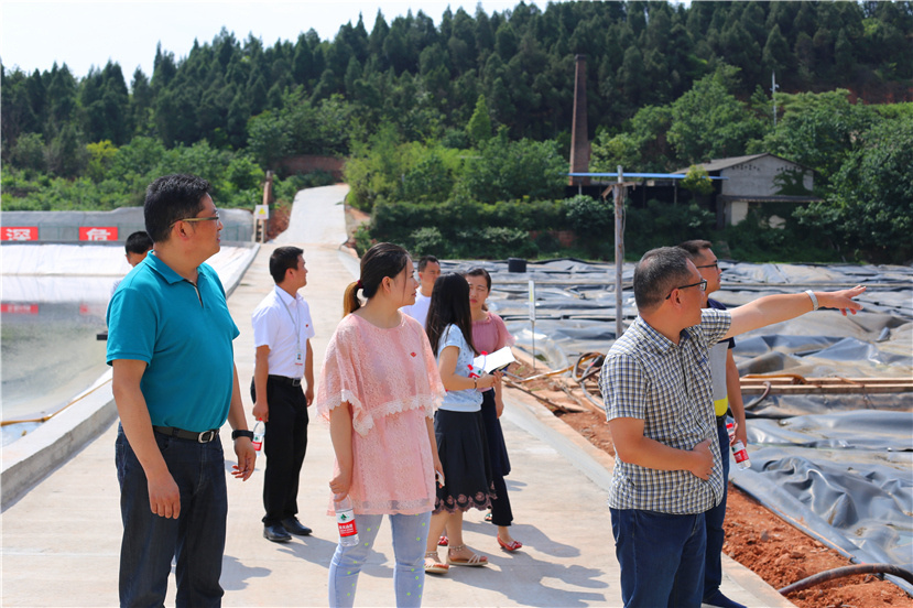 集團第一檢查組檢查杰陽排水公司、固廢處置公司安全防汛和環(huán)保達標各項工作3_副本